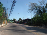 16_331699.jpg