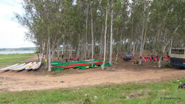SDC13637.JPG
