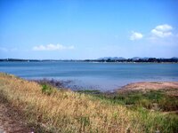 img_8916.jpg