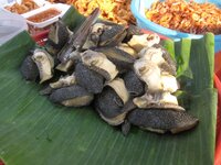 img_9289.jpg