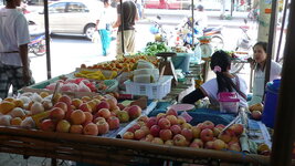 p1030854_susi.jpg