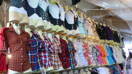 p1030855_susi.jpg
