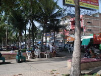 dsc09964.jpg