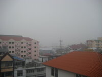 regen1.jpg