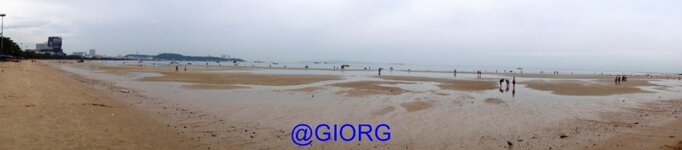 dsc02797.jpg