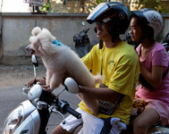 br_0044.jpg