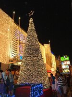 k-p1000164.jpg
