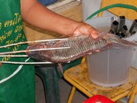 dscn0452.jpg