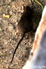 20110225_01039-1.jpg