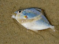 dscn0656.jpg