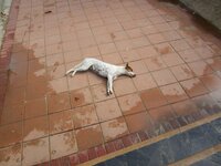 2012_03_08img_0009.jpg