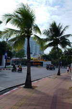 DSC06299.jpg