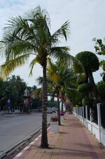 DSC06300.jpg