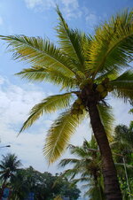 DSC06302.jpg