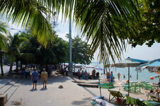 DSC06308.jpg