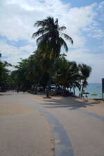DSC06310.jpg