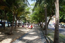 DSC06313.jpg