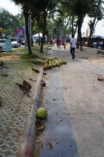 DSC06320.jpg