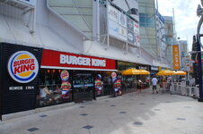 DSC06334.jpg