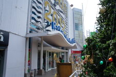 DSC06335.jpg