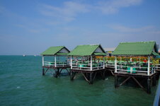DSC06347.jpg