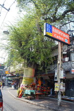 DSC06354.jpg