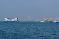 DSC06377.jpg