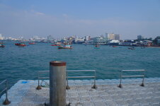 DSC06378.jpg