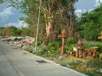 dsc07992.jpg
