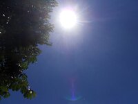 dscn1974.jpg