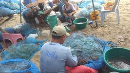 dscn2097.jpg