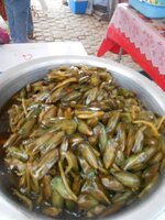 dscn2509.jpg