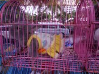 dscn2558.jpg