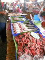 dscn3266.jpg
