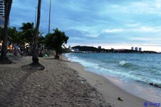 img_2981.jpg