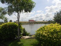 k-dscn3461.jpg