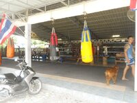 k-dscn3473.jpg