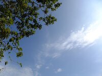 k-dscf3488.jpg