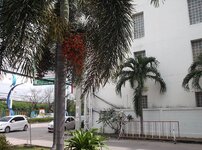 dscf0200.jpg