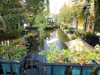 k-dscf7145.jpg