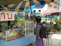 fress-stand1.jpg fress-stand1.jpg