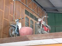 k-dscf8099.jpg