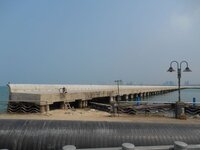 k-dscn1433.jpg