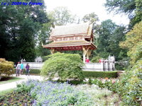 bad_homburg_thaifestival_09_29.jpg