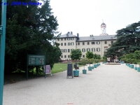 bad_homburg_thaifestival_09_65.jpg