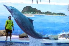 dolfin_p2050048.jpg