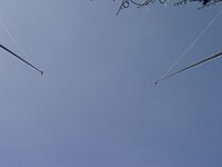 dsc02875_fileminimizer.jpg