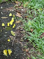 dsc04168001.jpg