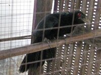 k-img_81671.jpg