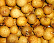 longan_1.jpg